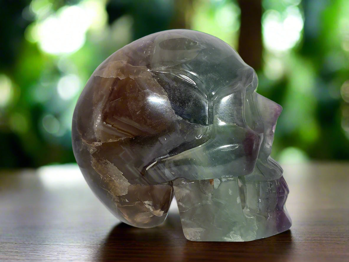 6.4" Rainbow & Black Fluorite Skull w/ Rainbows