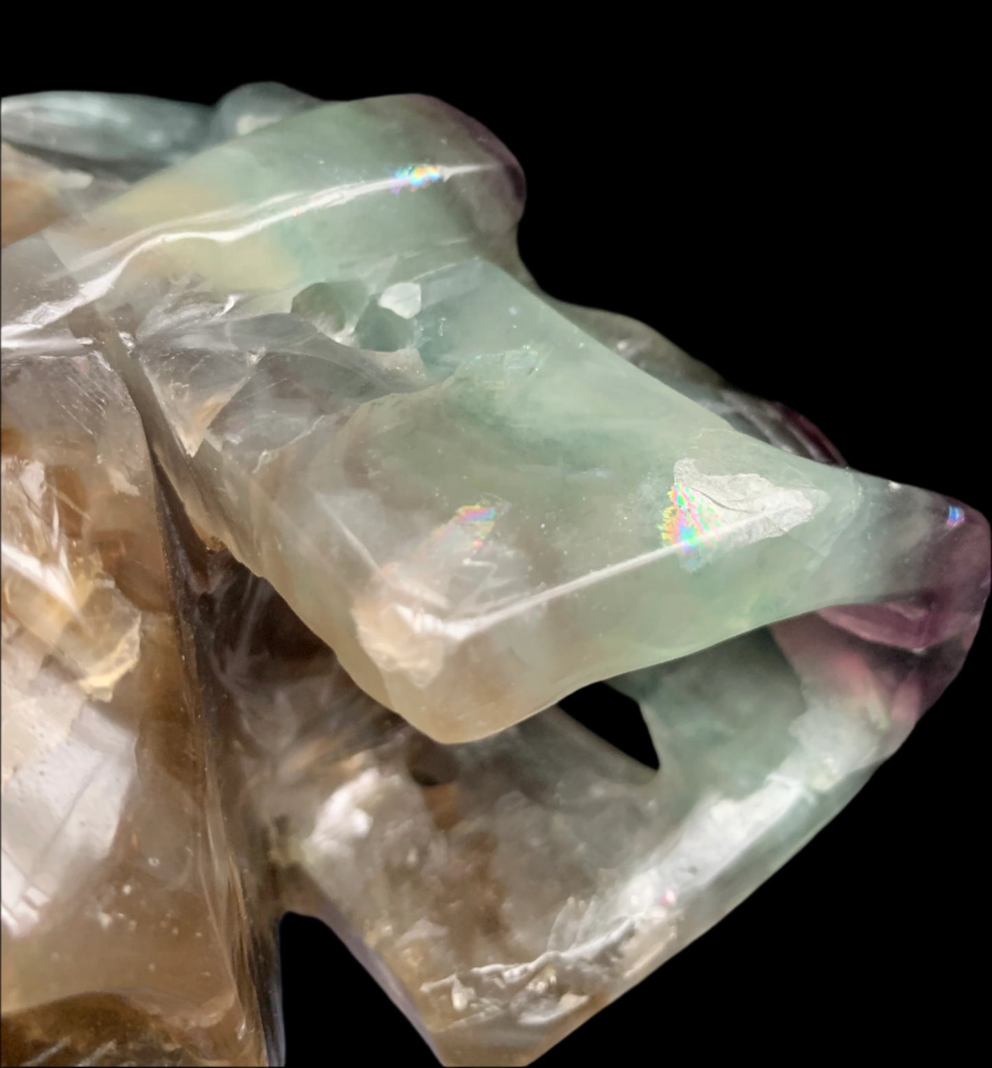 6.4" Rainbow & Black Fluorite Skull w/ Rainbows
