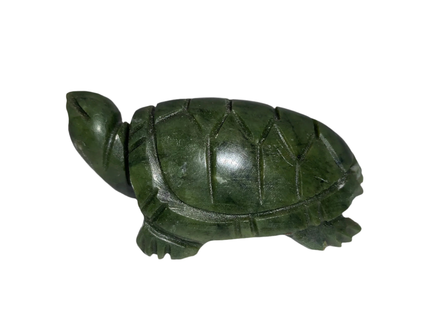 Tortuga serpentina de 3,4"
