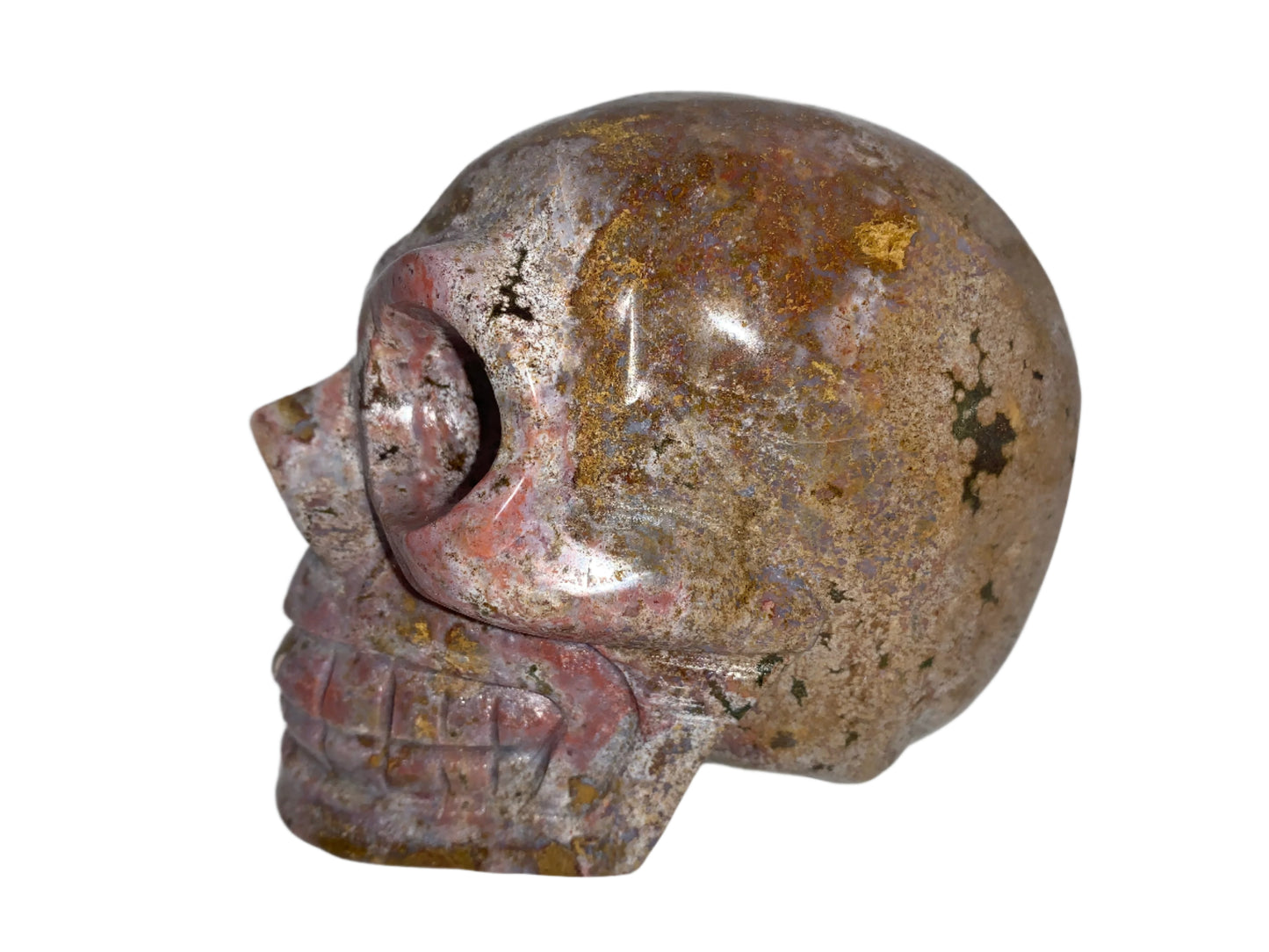 Cráneo de jaspe oceánico de 4,4"