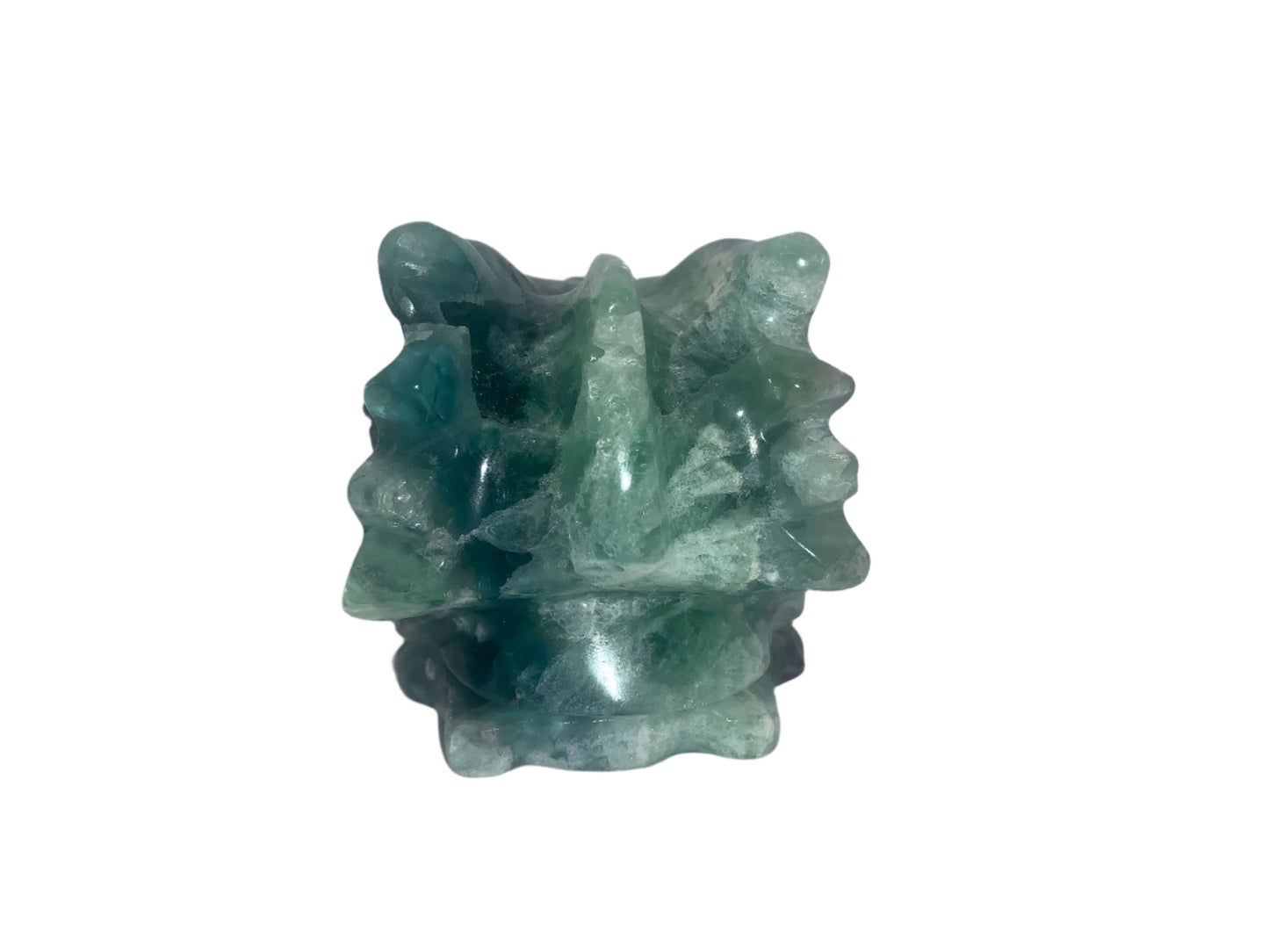 5.4" Fluorite Dragon Skull w/ Labradorite Eyes