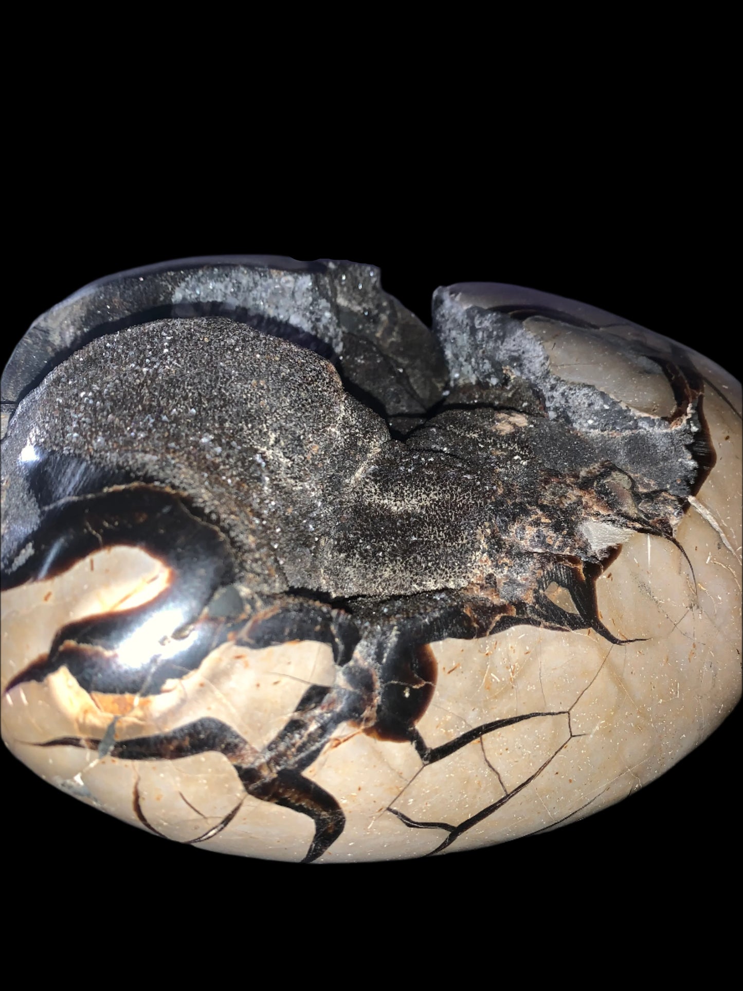 Geoda de septaria, barita y calcita en forma de corazón de 27 lb 9 oz
