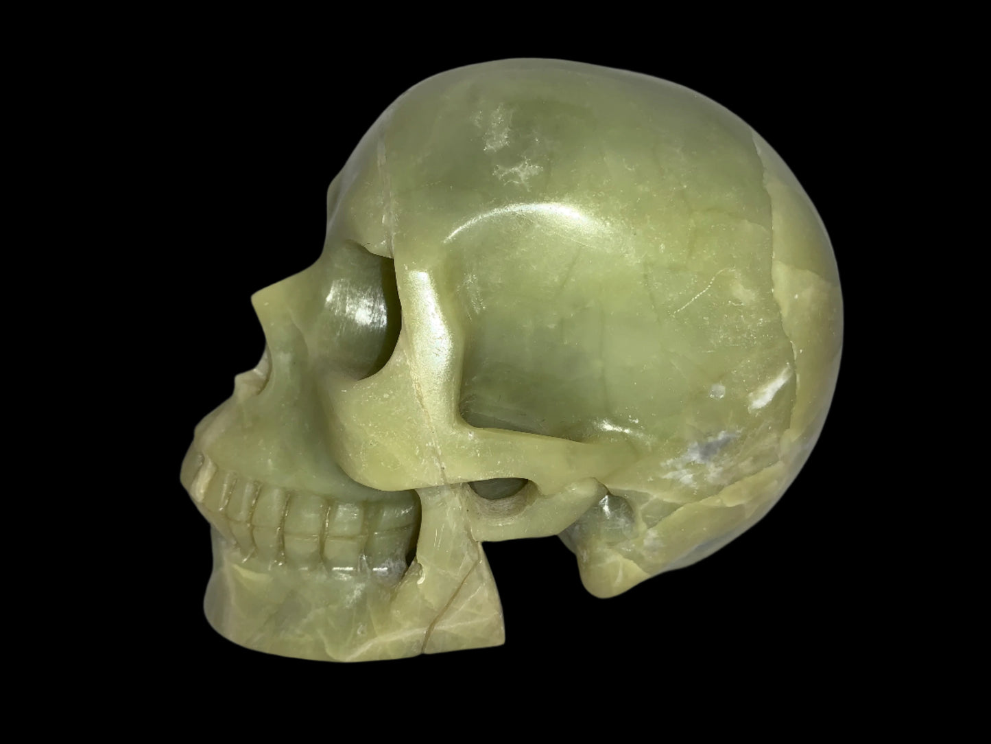 5.2" Serpentine Skull