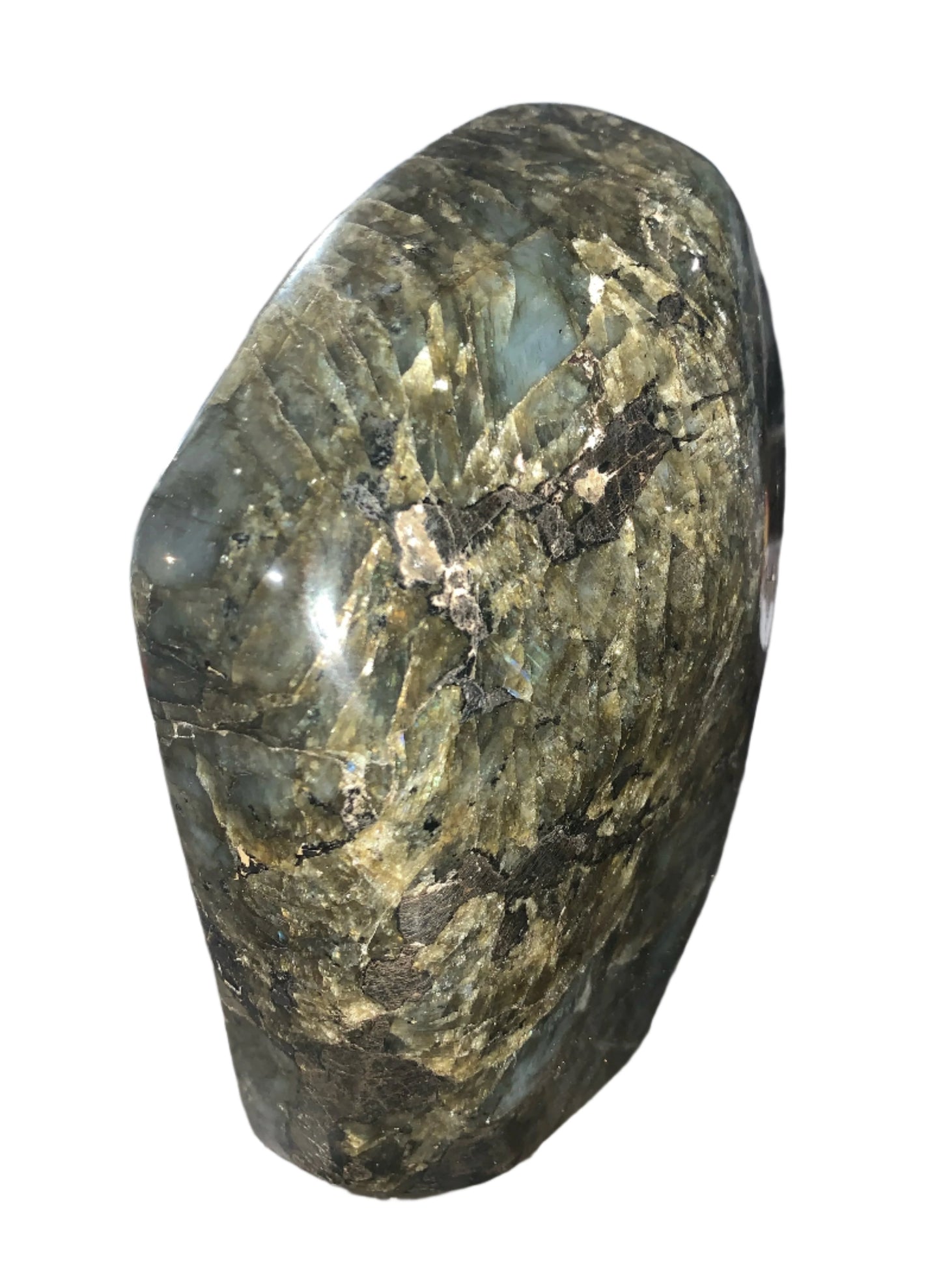 Losa de espectrolita de forma libre de gran tamaño (var. labradorita)