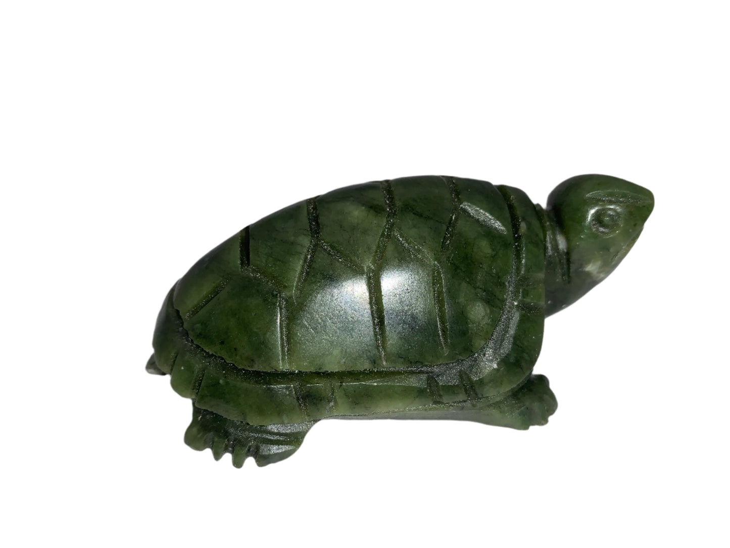 Tortuga serpentina de 3,4"