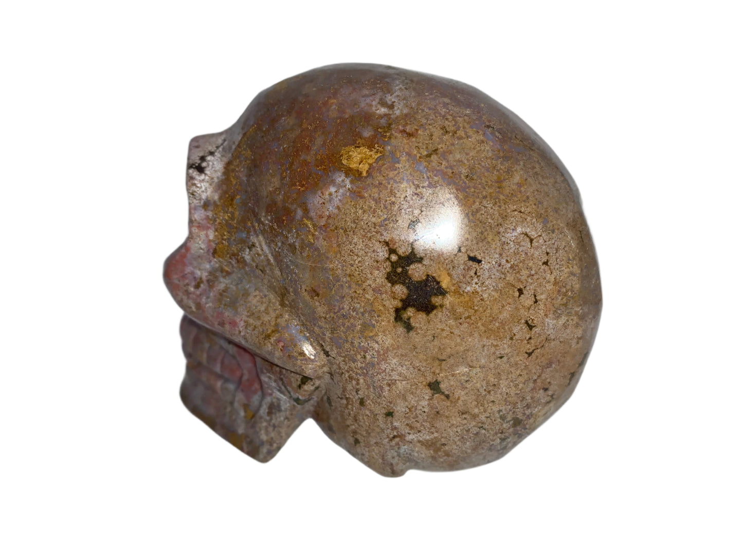 Cráneo de jaspe oceánico de 4,4"