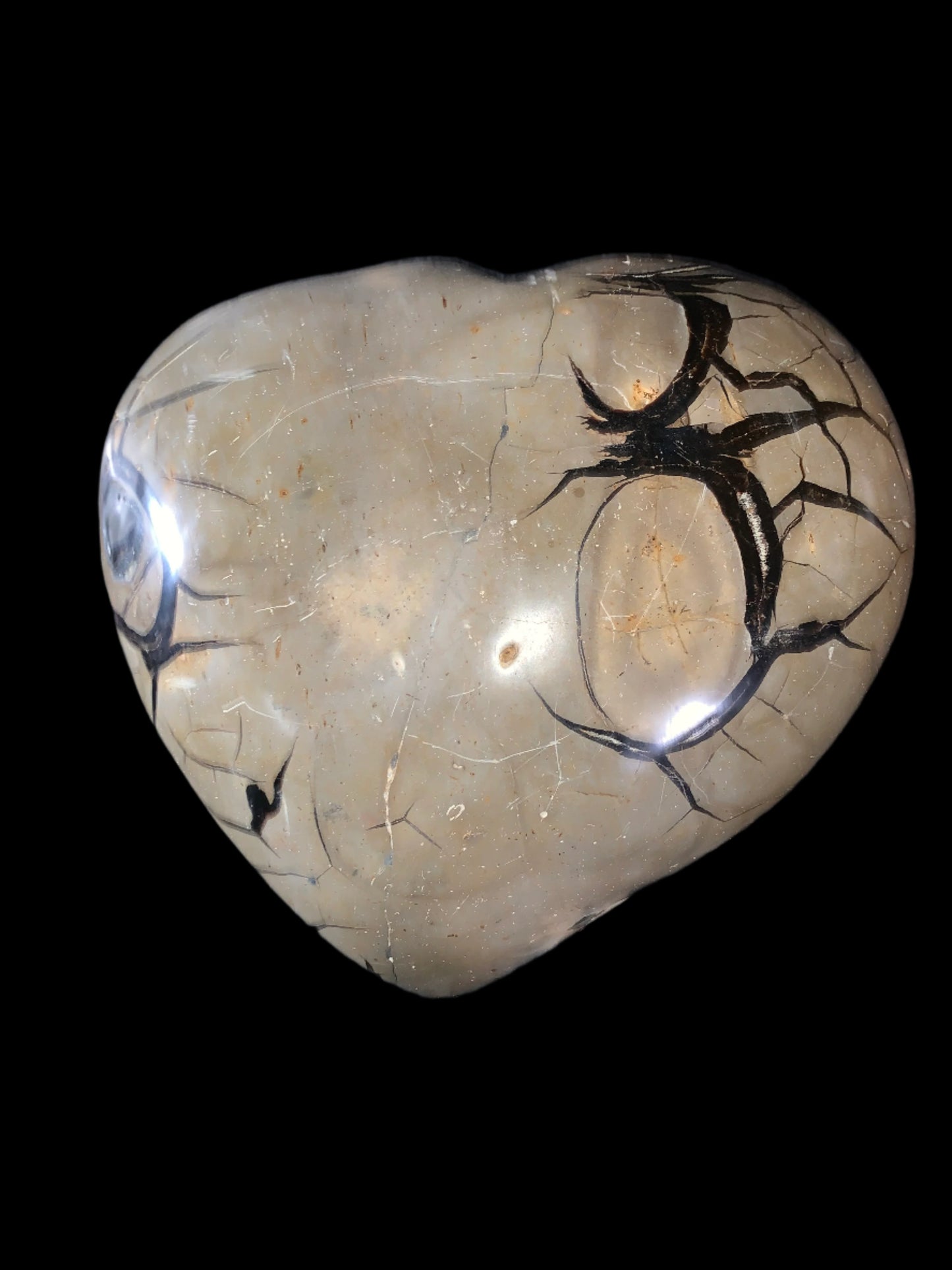 Geoda de septaria, barita y calcita en forma de corazón de 27 lb 9 oz