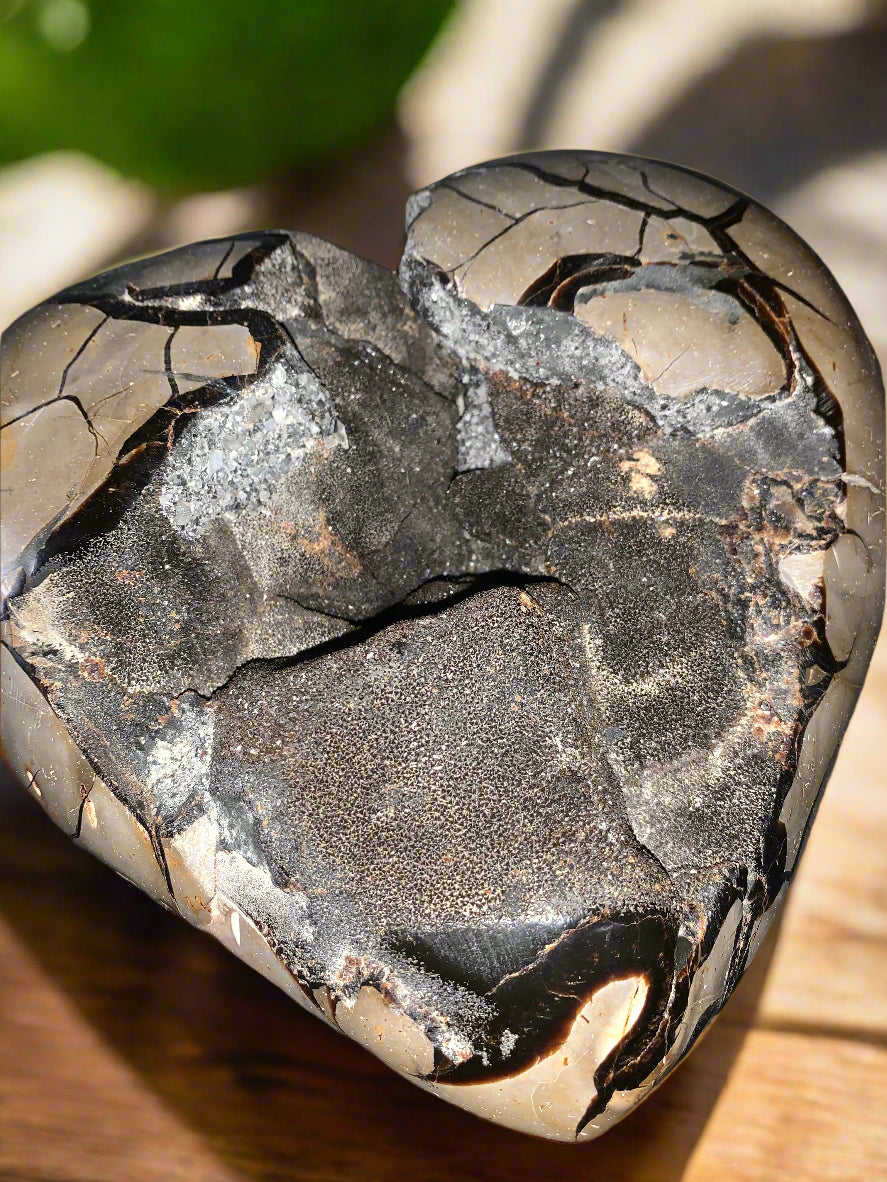 Geoda de septaria, barita y calcita en forma de corazón de 27 lb 9 oz