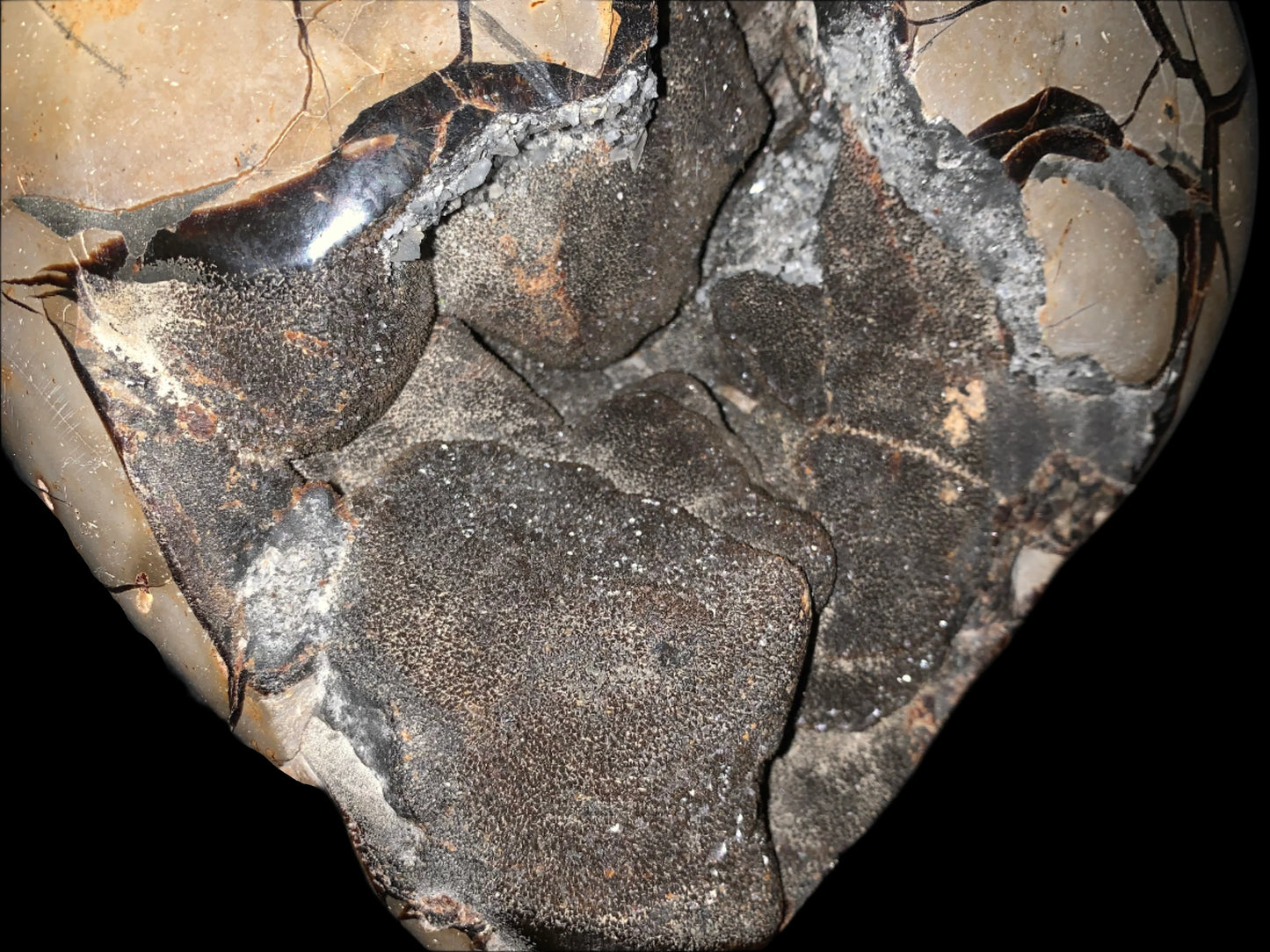 Geoda de septaria, barita y calcita en forma de corazón de 27 lb 9 oz