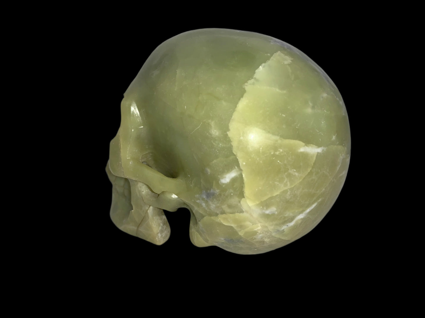 5.2" Serpentine Skull