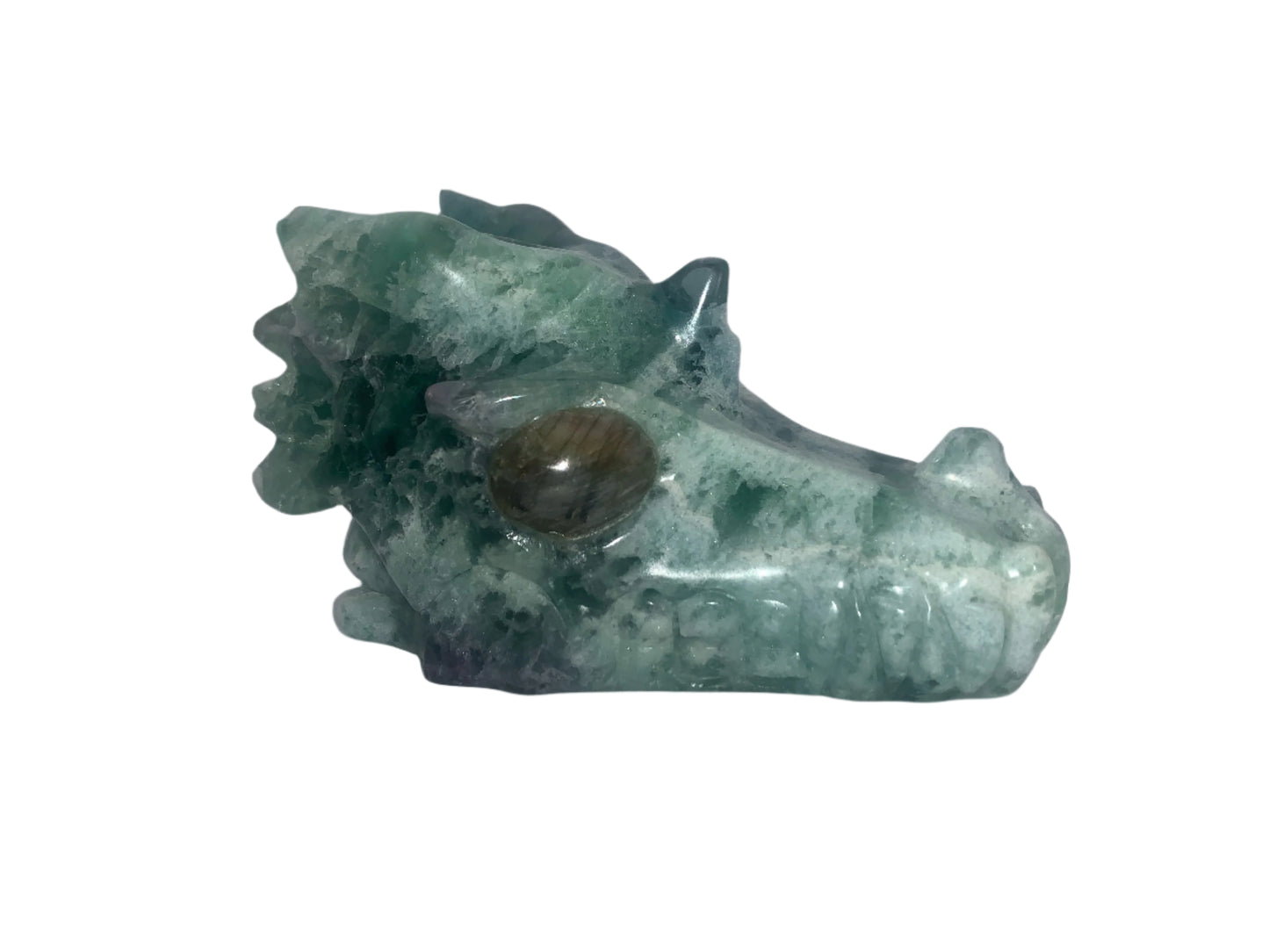 5.4" Fluorite Dragon Skull w/ Labradorite Eyes