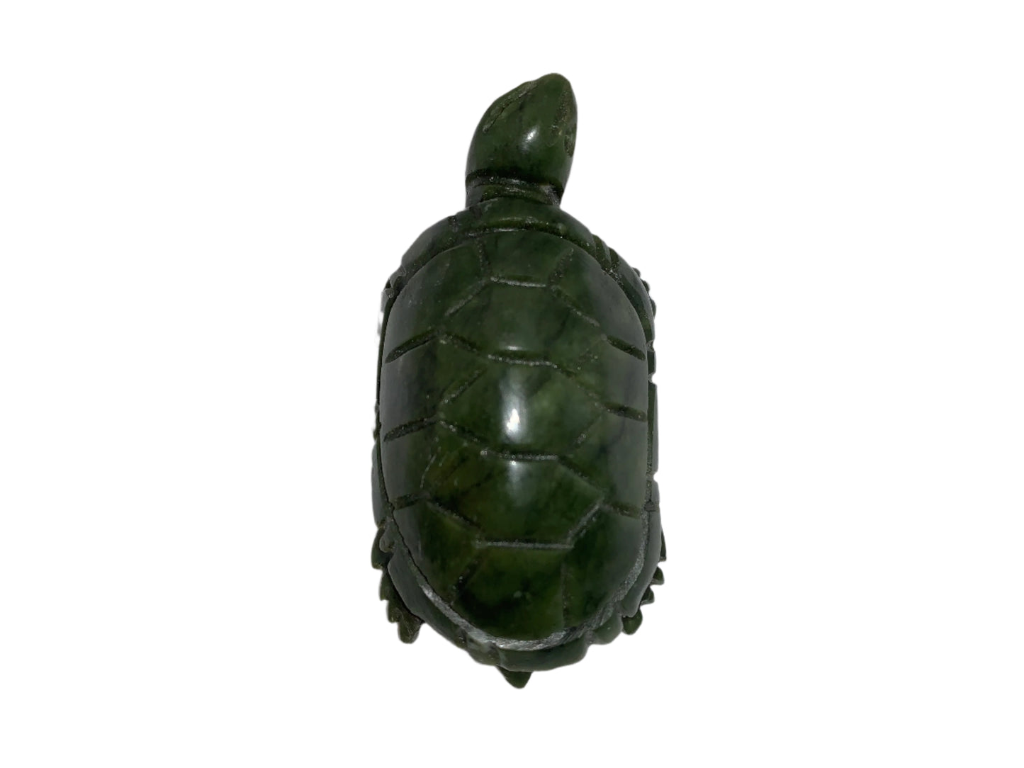 Tortuga serpentina de 3,4"