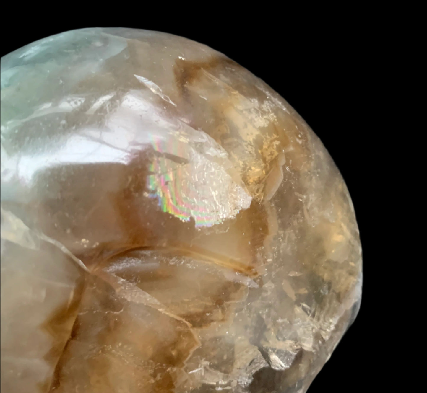 6.4" Rainbow & Black Fluorite Skull w/ Rainbows