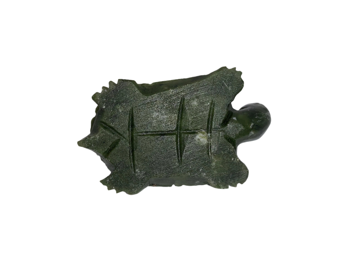 Tortuga serpentina de 3,4"