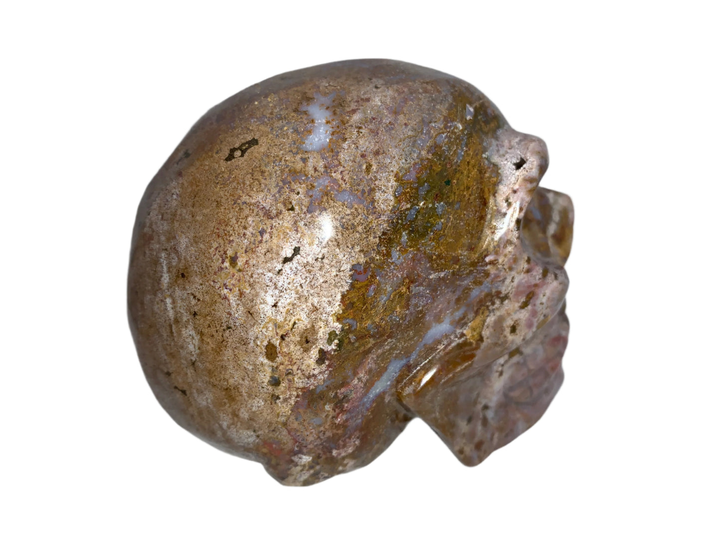 Cráneo de jaspe oceánico de 4,4"