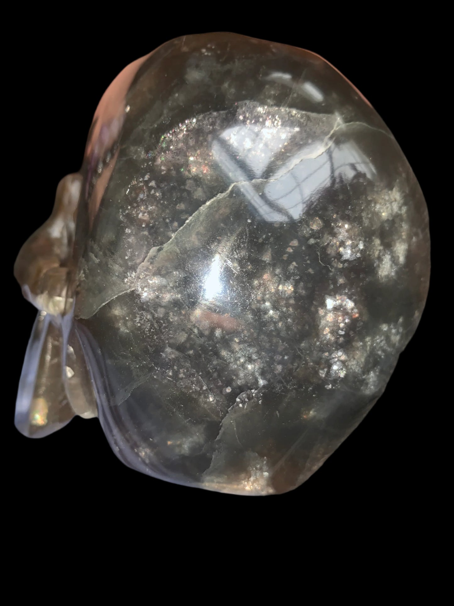 6.4" Rainbow & Black Fluorite Skull w/ Rainbows