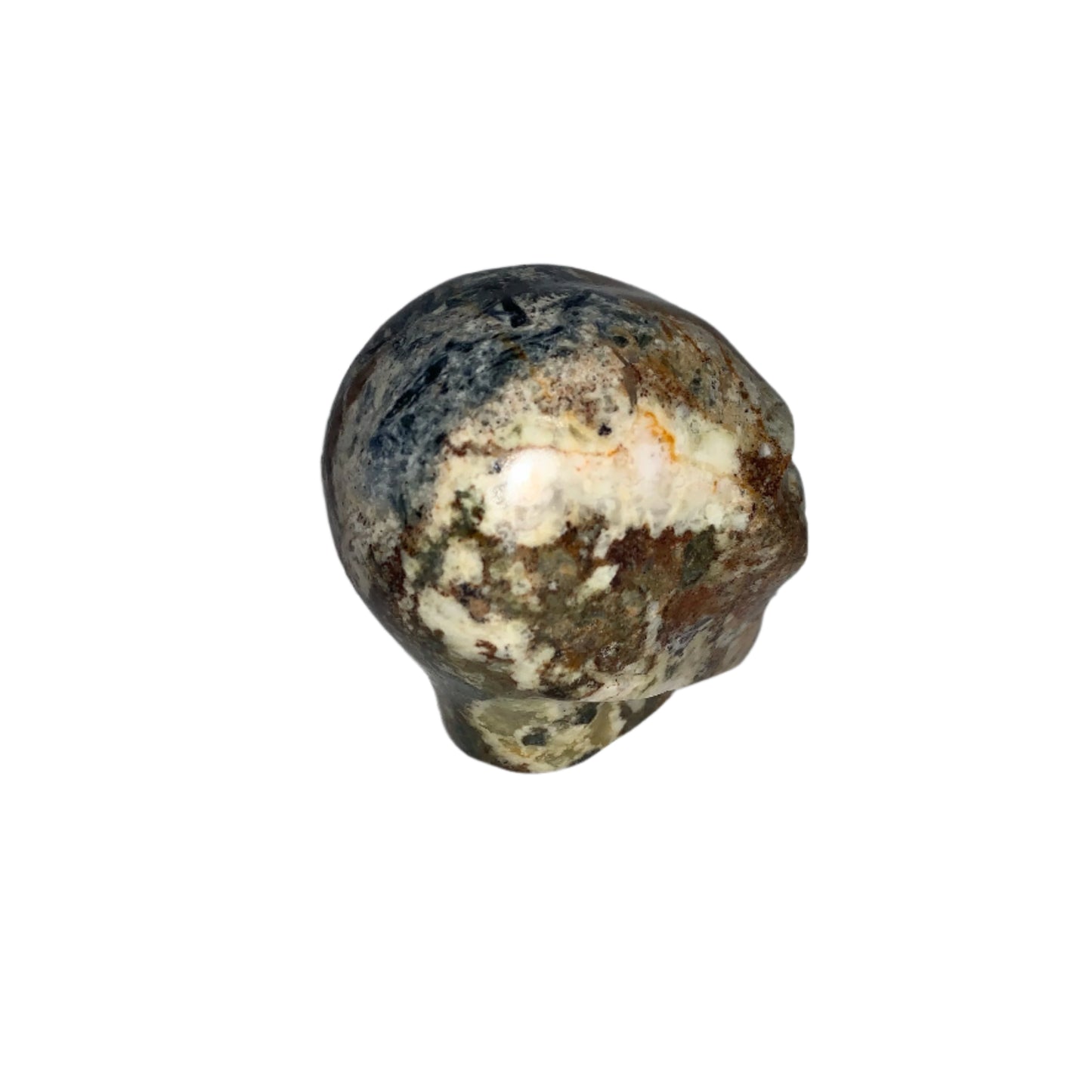 Calavera con forma de estrella de Pietersita de 2,3"