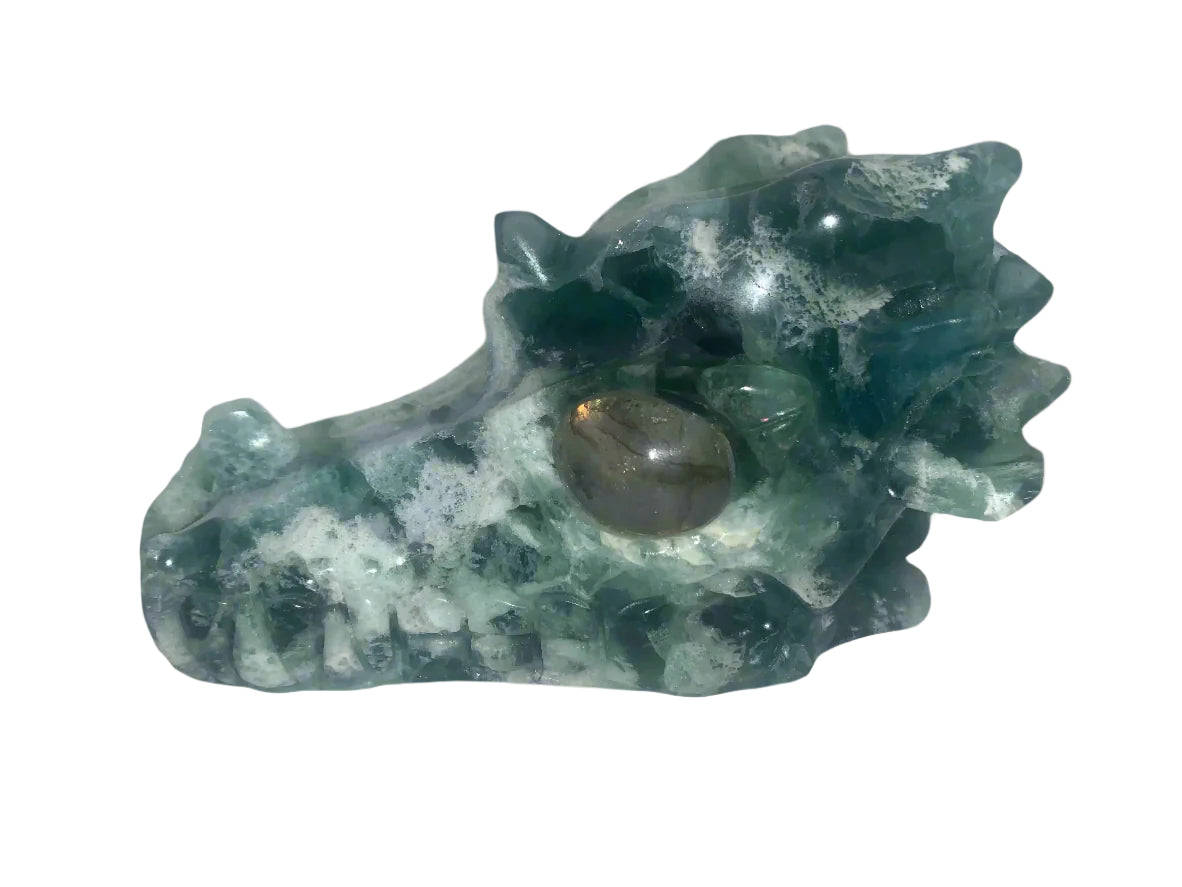 5.4" Fluorite Dragon Skull w/ Labradorite Eyes