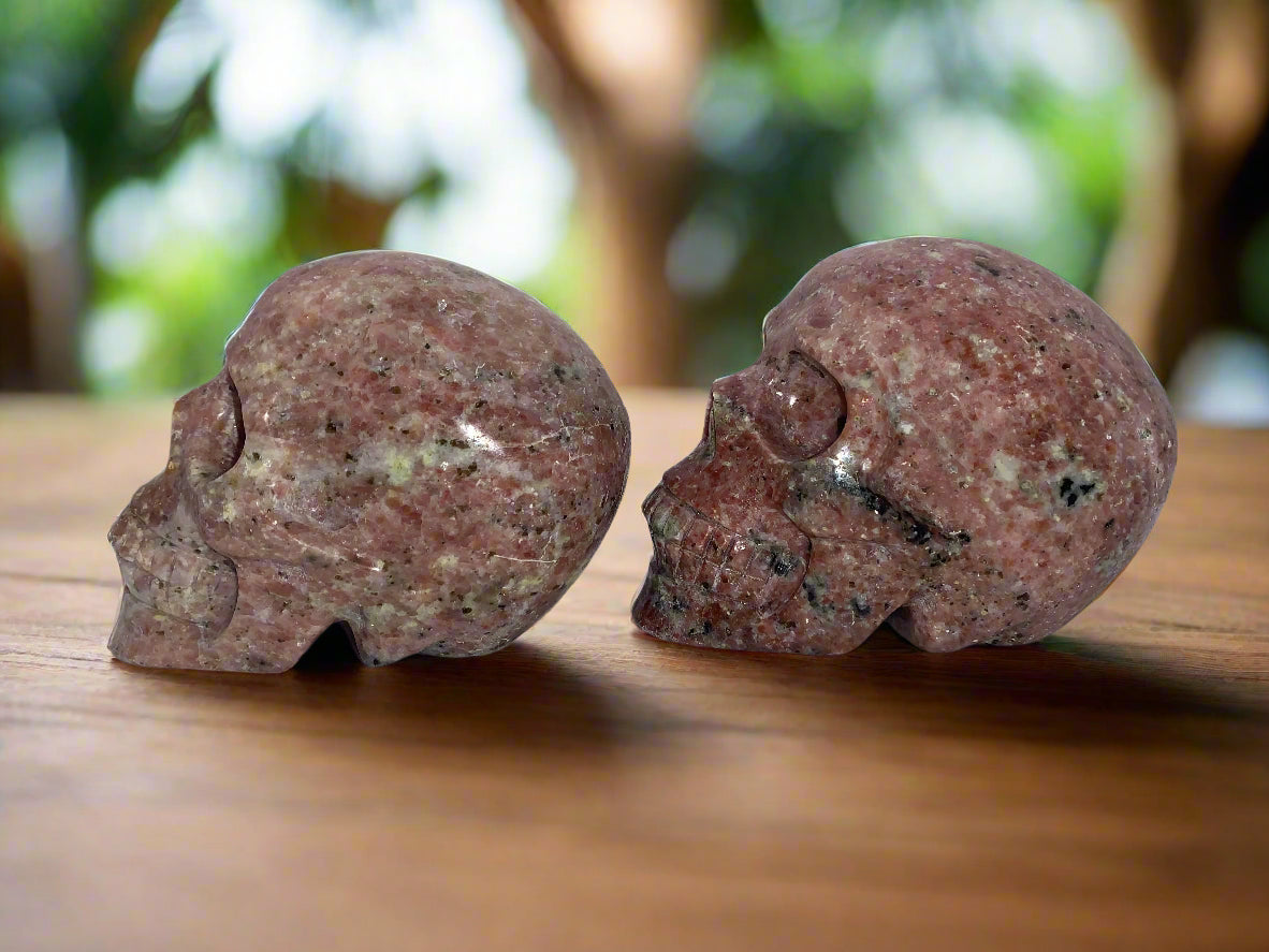 4.4" Pair Of Gatekeeper Peach Blossom Sesame Jasper Skulls