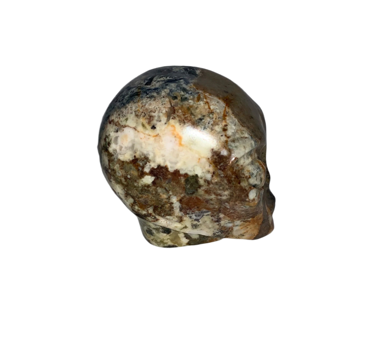 Calavera con forma de estrella de Pietersita de 2,3"