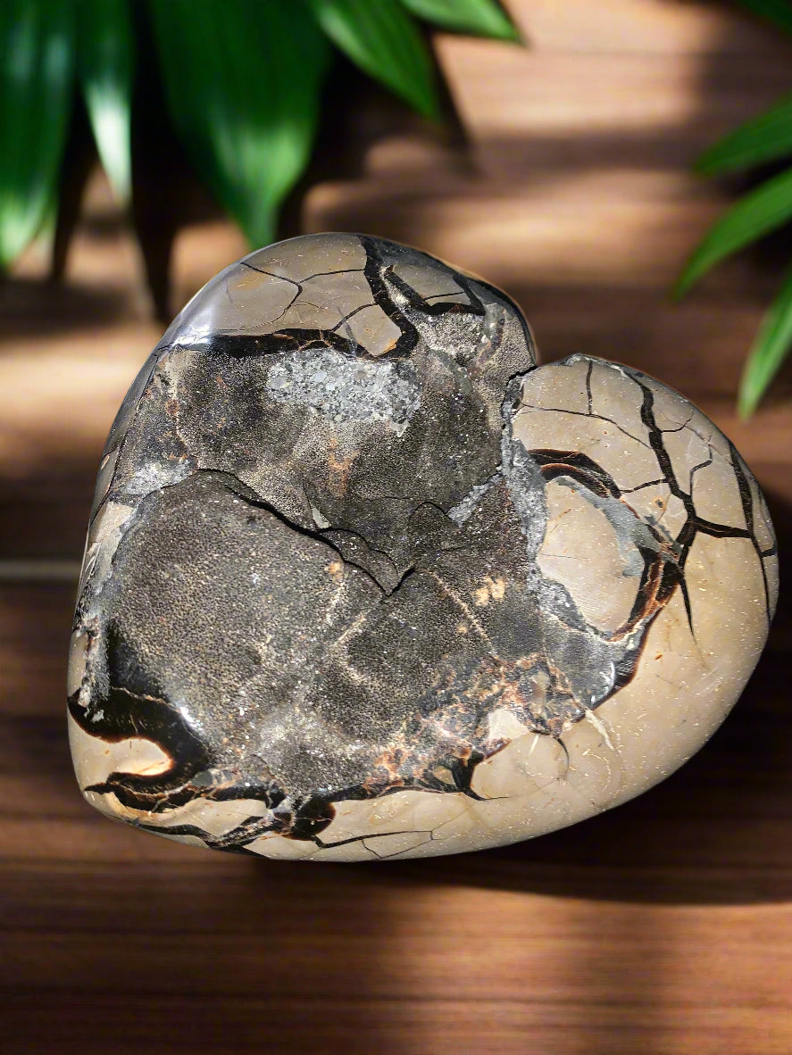 Geoda de septaria, barita y calcita en forma de corazón de 27 lb 9 oz