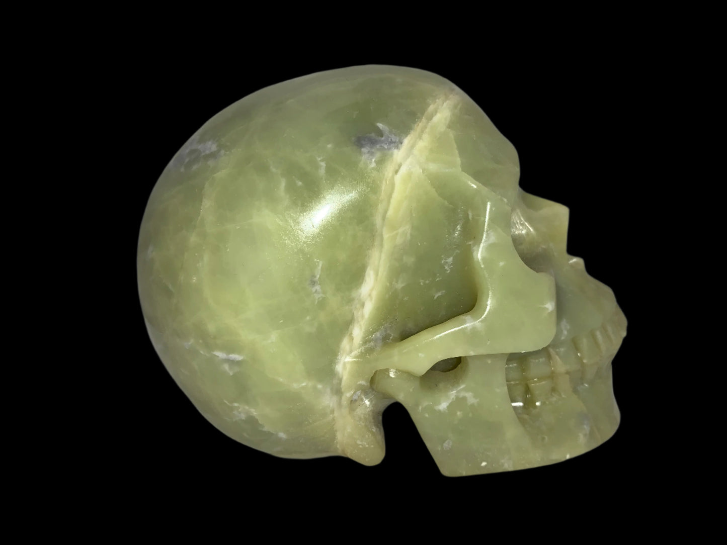 5.2" Serpentine Skull