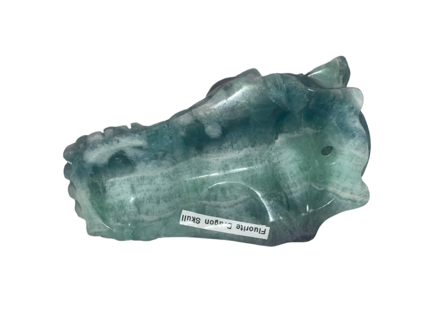 5.4" Fluorite Dragon Skull w/ Labradorite Eyes
