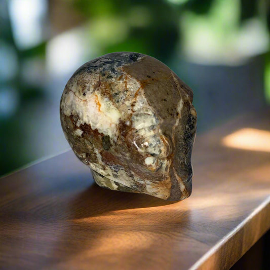 Calavera con forma de estrella de Pietersita de 2,3"
