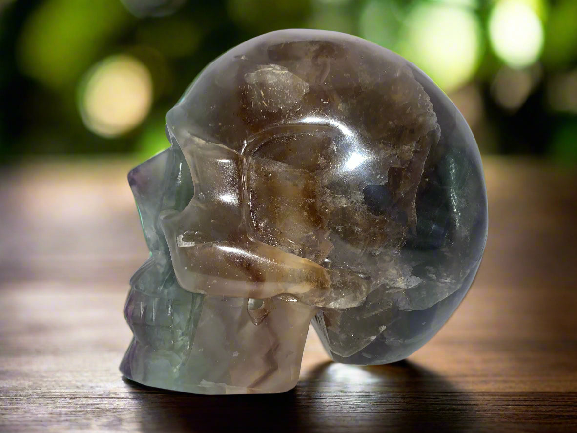 6.4" Rainbow & Black Fluorite Skull w/ Rainbows