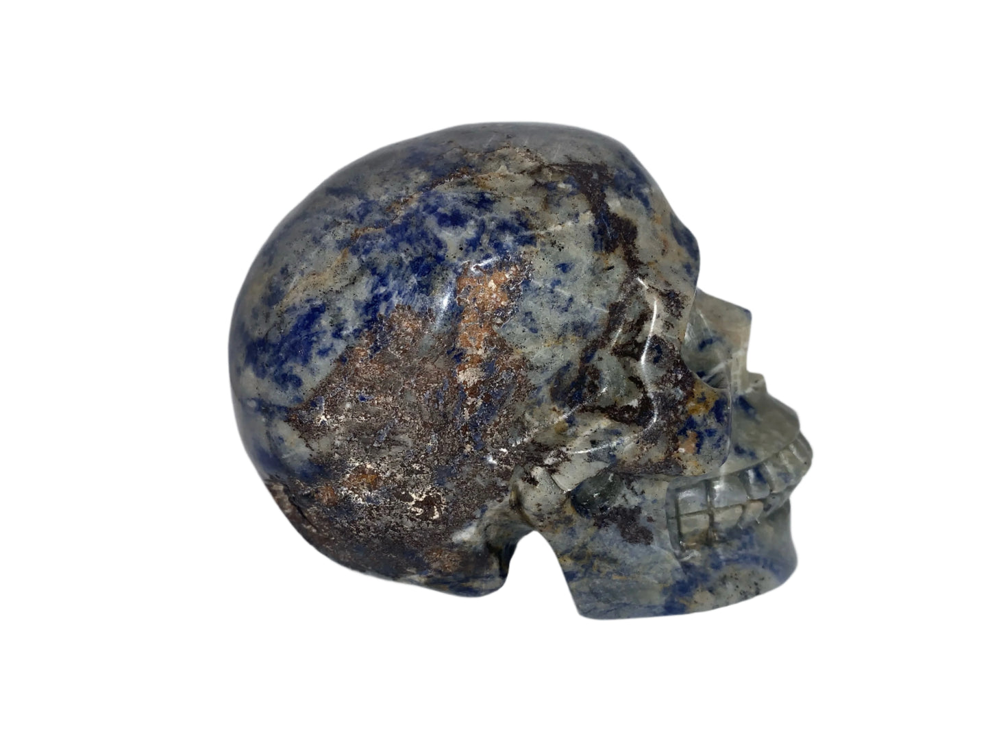 Calavera de sodalita al atardecer de 4,1"