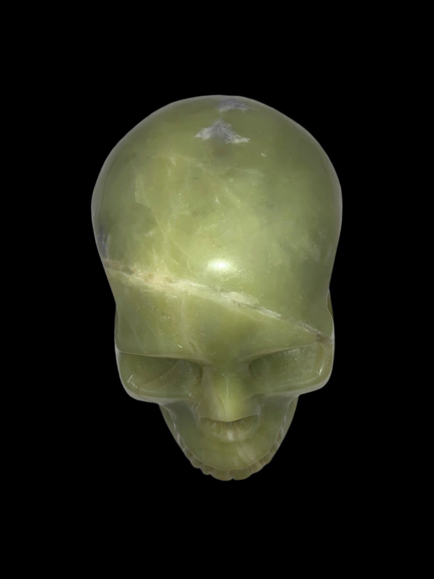 5.2" Serpentine Skull
