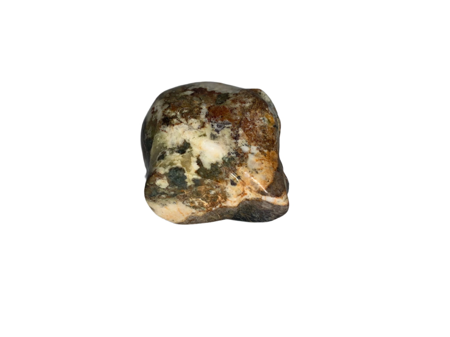 Calavera con forma de estrella de Pietersita de 2,3"